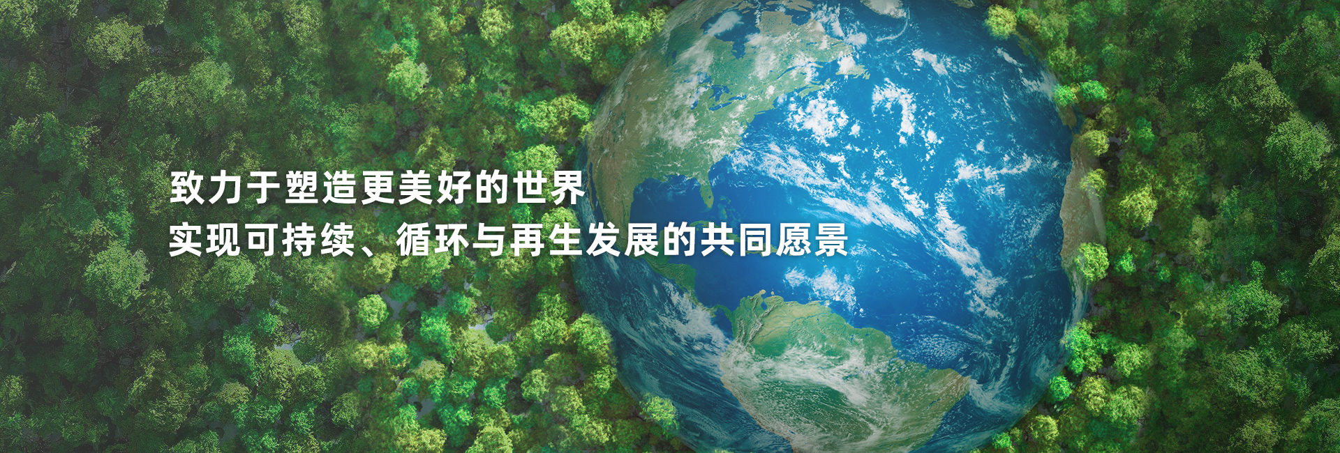 二四六天天开彩结果